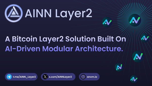 ANVM | AINN Layer2 Interaction Guide